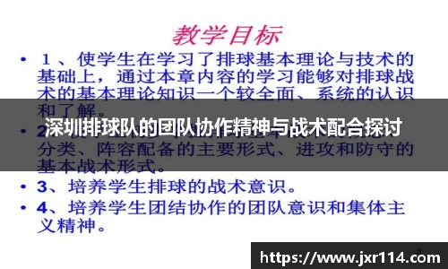 深圳排球队的团队协作精神与战术配合探讨